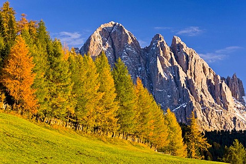 Villnoesstal or Val di Funes valley, in autumn, Odle Geisler massif at back, Puez-Geisler Nature Park, South Tyrol, Italy, Europe