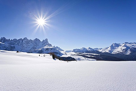 Ski hiker climbing Mt. Cima Bocche above the Passo Valles or Valle Pass, behind Mt. Colbricon, next to it Mt. Passo Rolle, Dolomites, Trentino, Alto Adige, Italy, Europe