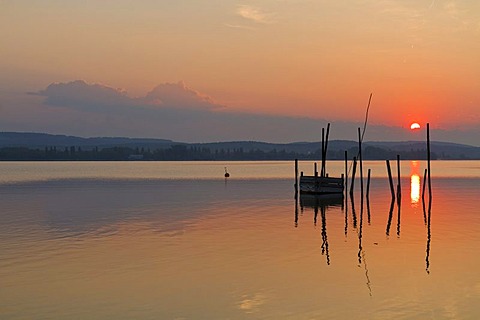 Fish traps in the first morning light, Iznang, Lake Constance, Konstanz district, Baden-Wuerttemberg, Germany, Europe