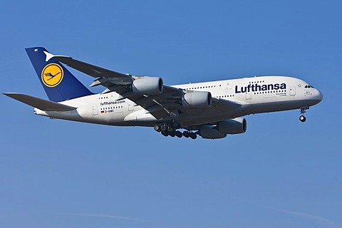 Lufthansa Airbus A380 during landing at Frankfurt Airport, Frankfurt, Hesse, Germany, Europe