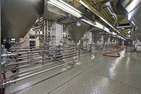 Binding brewery, Frankfurt, Hesse, Germany, Europe