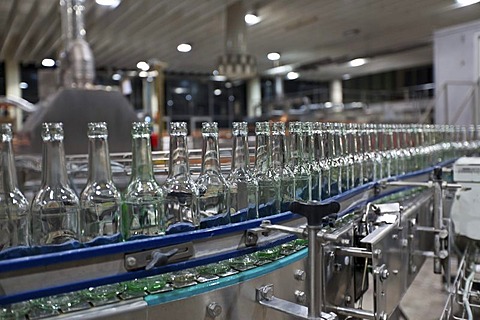 Empty beer bottles after cleaning, on a conveyor belt, Binding brewery, Frankfurt, Hesse, Germany, Europe