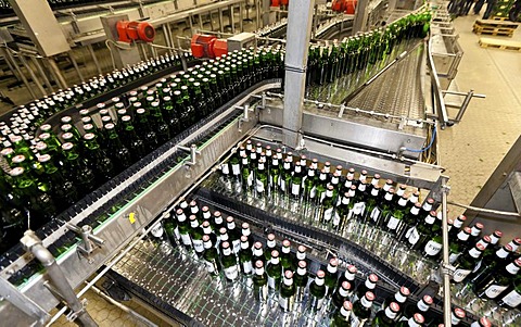 Beer bottles being filled on a conveyor belt, Binding brewery, Frankfurt, Hesse, Germany, Europe