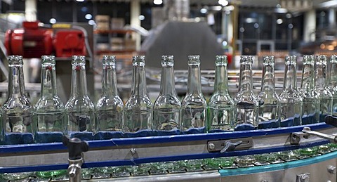 Empty beer bottles after cleaning, on a conveyor belt, Binding brewery, Frankfurt, Hesse, Germany, Europe