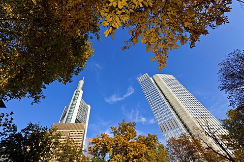 ECB, European Central Bank and Commerzbank Tower in autumn, Frankfurt am Main, Hesse, Germany, Europe