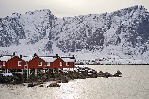 Rorbuer, traditional wooden cabins, Reine, Island of Moskenesoya, Lofoten Islands, North Norway, Norway, Europe