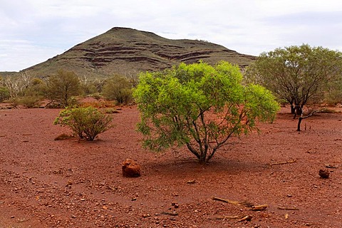 Australian outback landscape, Pilbara, Western Australia