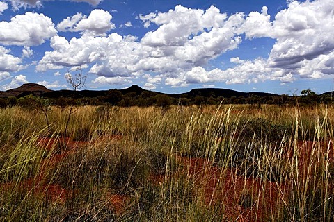 Australian outback landscape, Pilbara, Western Australia