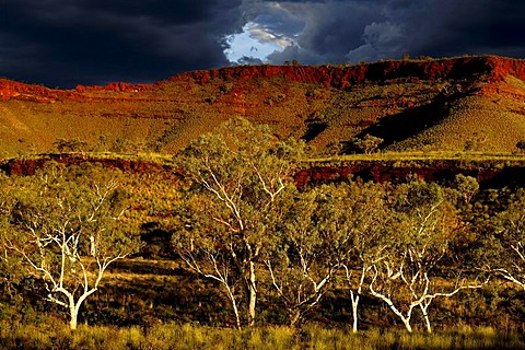 Australian outback, Pilbara, Western Australia, Australia