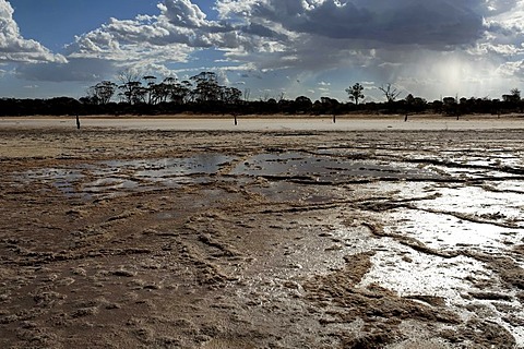 Salt Lake, Baladjie Nature Reserve, Western Australia, Australia