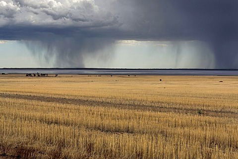 Storm over farmland and Yarra Yarra Lake, Carnamah, Western Australia, Australia