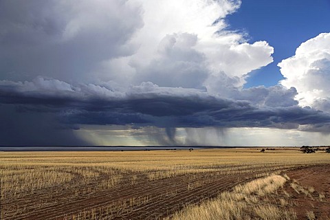 Storm over farmland and Yarra Yarra Lake, Carnamah, Western Australia, Australia