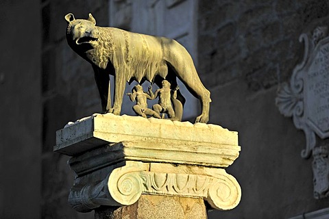 Capitoline Wolf with Romulus and Remus on the Senatorial Palace, Capitol square, Piazza del Campidoglio, Capitoline Hill, Rome, Lazio, Italy, Europe