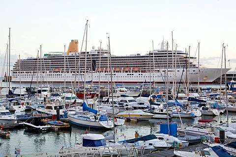 Cruise ship Arcadia in the marina, Funchal, Madeira, Portugal, Europe