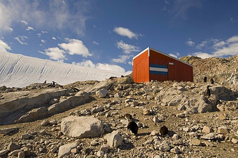 Emergency hut, Neko Harbor, Gerlache strait, Antarctic Peninsula, Antarctica