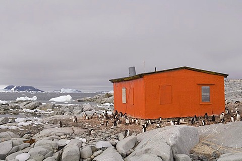 Emergency hut, Petermann Island, Lemaire Channel, Antarctic Peninsula, Antarctica