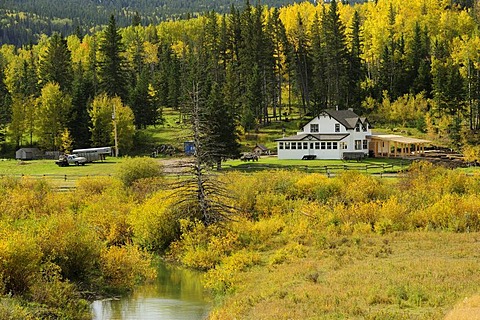 Ranch on the edge of a wood on the prairie, Saskatchewan, Canada