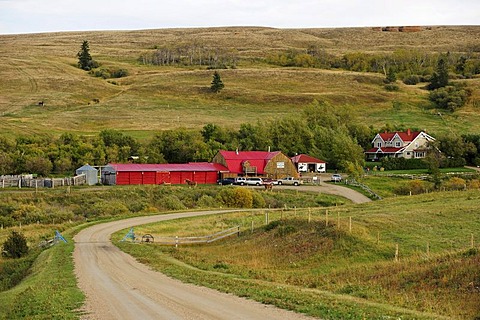 Cowboy ranch on the prairie, Saskatchewan, Canada