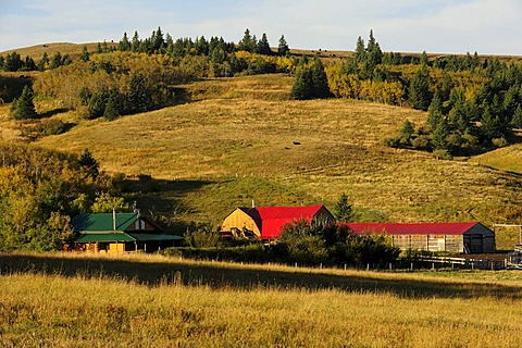 Cowboy ranch on the prairie, Saskatchewan, Canada