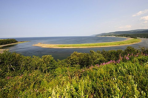 Cape St. Madeleine, Gaspesie or Gaspe Peninsula, Quebec, Canada