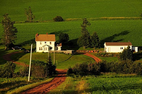 Farm outside of Cavendish, Prince Edward Island, Canada, North America