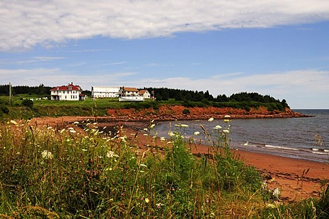 Red sandstone beach and cliffs in the Prince Edward Island National Park, Prince Edward Island, Canada, North America