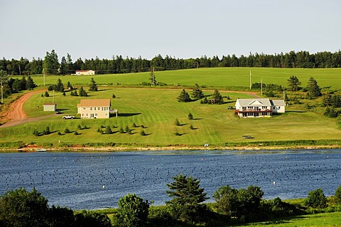 The green island in the Atlantic, Atlantic coast west of Cavendish, Prince Edward Island, Canada