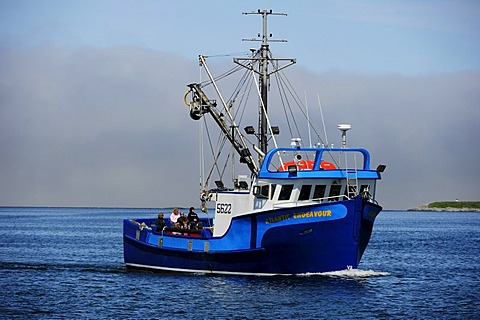 Fishing boat with tourists entering into the harbor, Newfoundland, Canada, North America