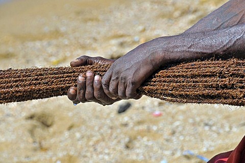 Fisherman pulling in a net on a beach in Galle, Sri Lanka, Ceylon, South Asia, Asia