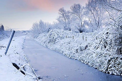 Winter scene of Wembdon Rhyne after heavy snow, early morning, Somerset, England, United Kingdom, Europe