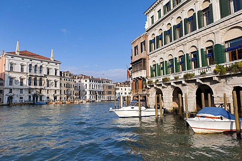 Palaces on the Grand Canal, Venice, Veneto, Italy, Southern Europe