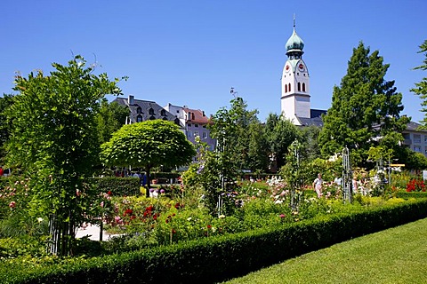 Riedergarten Riedergarten herb or pharmacist's garden, St. Nikolaus church, Rosenheim, Upper Bavaria, Bavaria, Germany, Europe