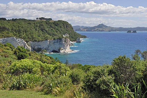 Coastal formation at Cathedral Cove Walk, Marine Reserve Cathedral Cove, Hahei, Coromandel Peninsula, North Island, New Zealand