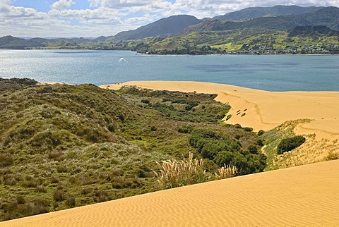 Dune landscape at Hokianga Harbour, Opononi, North Island, New Zealand