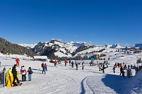 Alpe di Siusi or Mont Seuc in Ladin in winter, South Tyrolean Dolomites, Italy, Europe