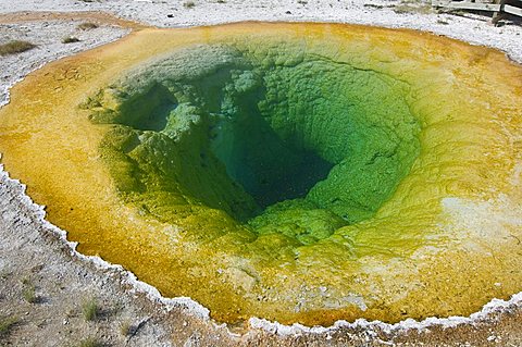 Morning Glory Pool in Upper Geyser Basin, Yellowstone National Park, Wyoming, USA