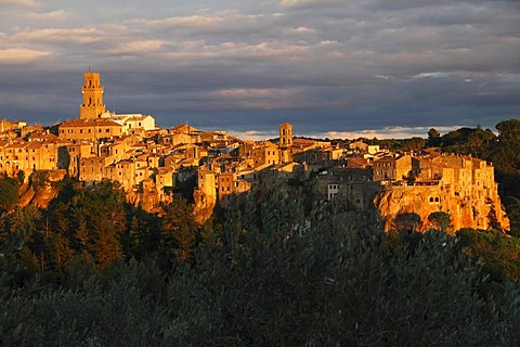 View over olive branches on the town in evening light with tower of the cathedral Santi Pietro e Paolo, Pitigliano, Maremma, Province Grosseto, Tuscany, Italy, Europe