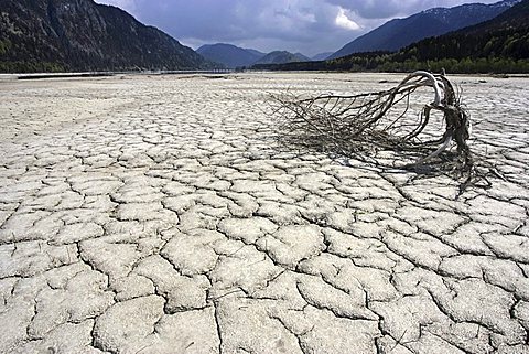 Dry Isar riverbed, Sylvenstein, Upper Bavaria, Germany, Europe