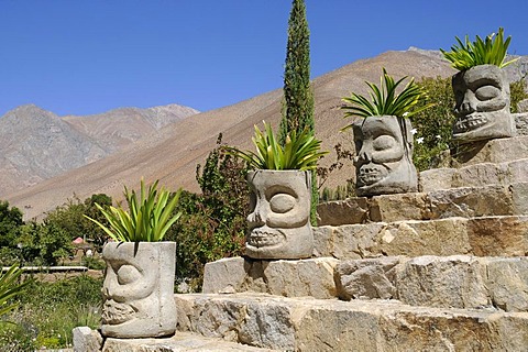 Stone heads, plants, garden, flower pots, stone stairs, Pisco Mistral Pisco distillery, national drink, Pisco Elqui, village, Vicuna, Valle d'Elqui, Elqui Valley, La Serena, Norte Chico, northern Chile, Chile, South America