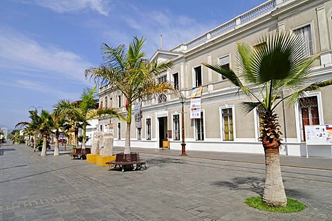 Regional Museum, natural history, cultural history, Avenida Baquedano, historic buildings, Iquique, Norte Grande, Northern Chile, Chile, South America