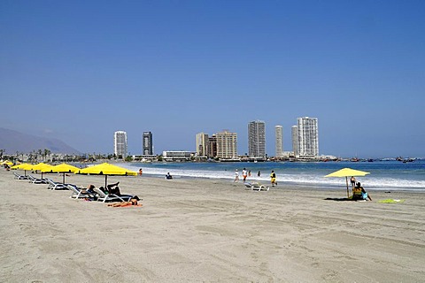 Deck chairs, sunshades, Playa Cavancha beach, coast, skyscrapers, Iquique, Norte Grande, northern Chile, Chile, South America