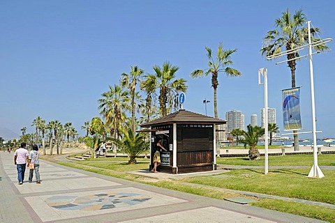 Tourist Information, Balmaqueda Park, waterside promenade, palm trees, Iquique, Norte Grande, northern Chile, Chile, South America