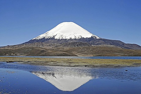 Parinacota Volcano, reflection in Lake Chungara, Lauca National Park, Altiplano, Norte Grande, Northern Chile, Chile, South America