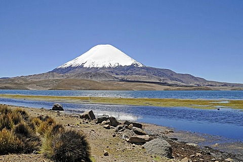 Parinacota Volcano, Lake Chungara, Lauca National Park, Altiplano, Norte Grande, Northern Chile, Chile, South America