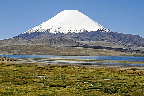 Parinacota Volcano, Lake Chungara, Lauca National Park, Altiplano, Norte Grande, Northern Chile, Chile, South America