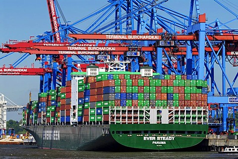 Container ship at Container Terminal Burchardkai in Waltershof port, Waltershof, Hamburg, Germany, Europe