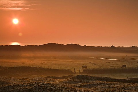 Sunrise near the lighthouse of Texel Island, Holland, Netherlands, Europe