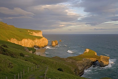 Coast of the South Pacific Ocean at Tunnel Beach illuminated by warm evening light, South Island, New Zealand