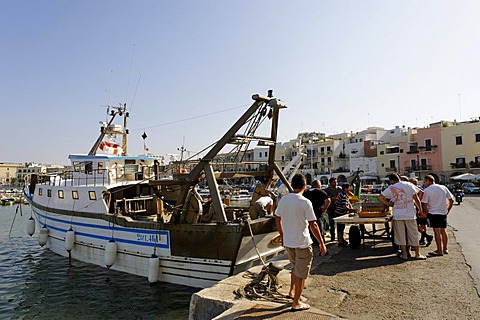 Fishermen with their catch at the port, Trani, Apulia or Puglia, South Italy, Europe