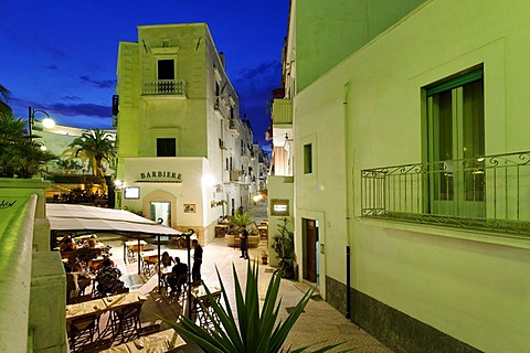 Twilight in Vieste, Gargano, Apulia, Puglia, Italy, Europe